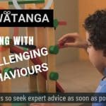 Dealing with Challenging Behaviours by Angela West